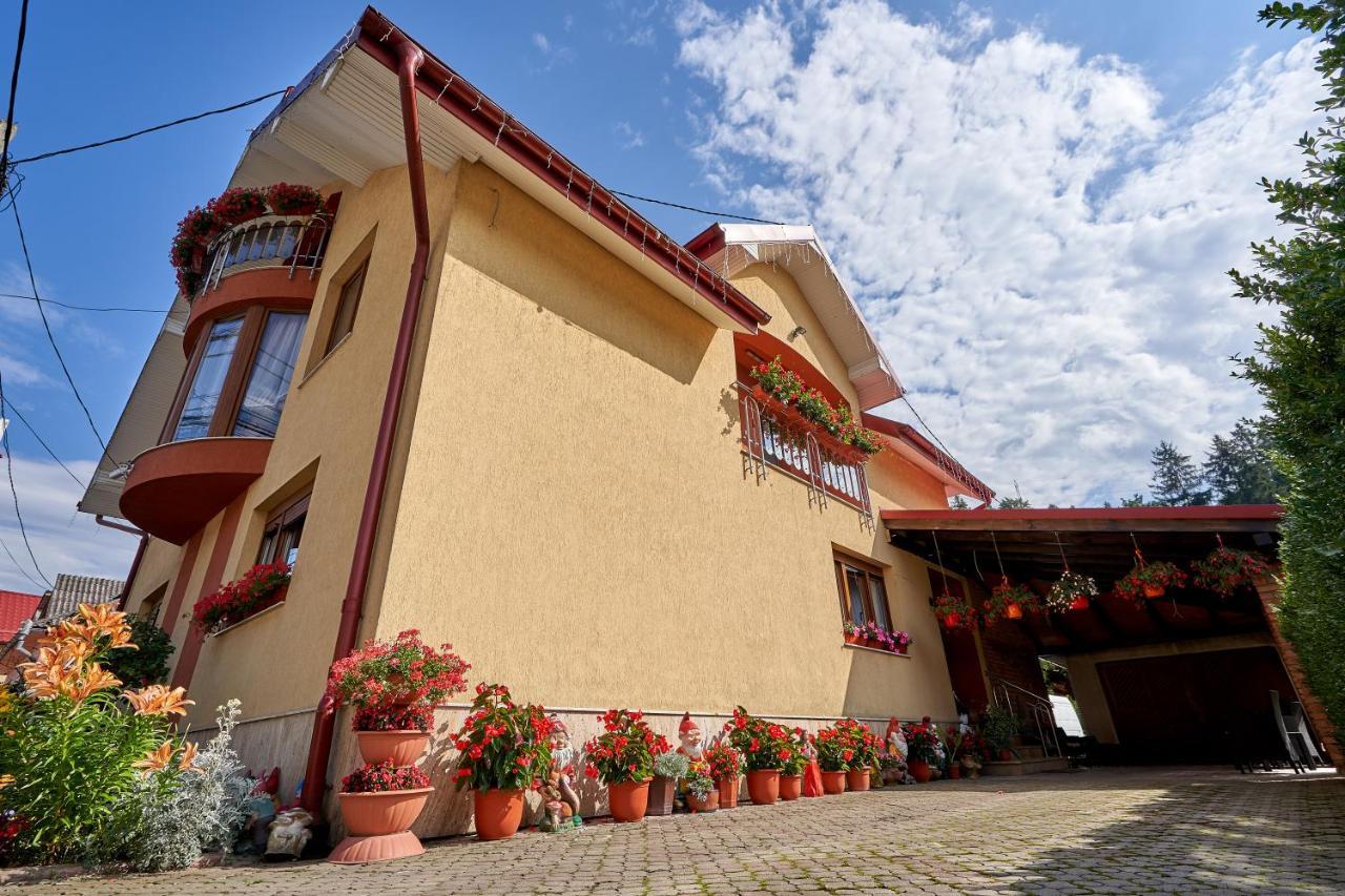 Casa Cu Flori Moisei Hotell Eksteriør bilde