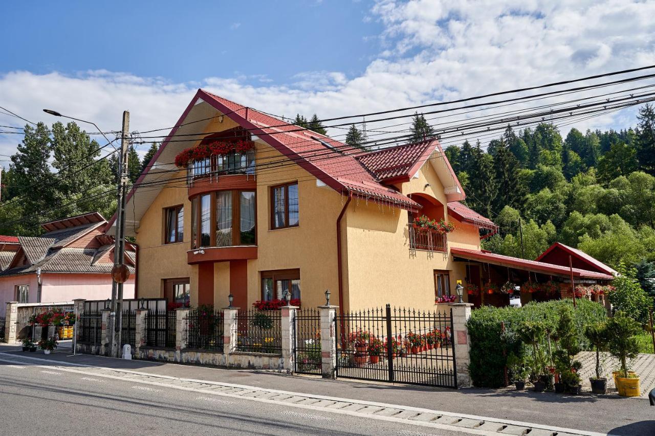Casa Cu Flori Moisei Hotell Eksteriør bilde